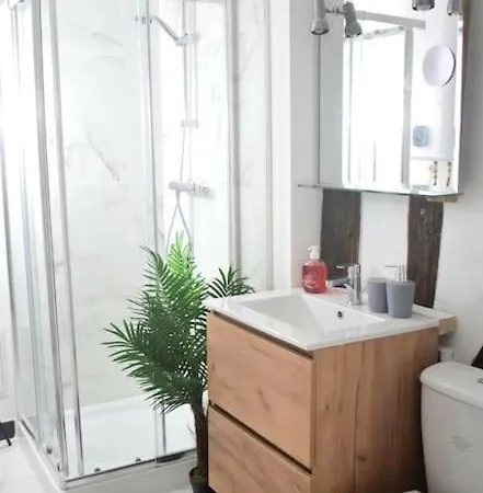 Apartman Chic Et Normand, Parking Facile, Wifi Hd