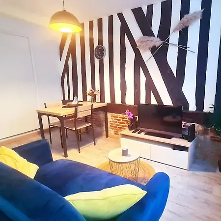 Apartman Chic Et Normand, Parking Facile, Wifi Hd